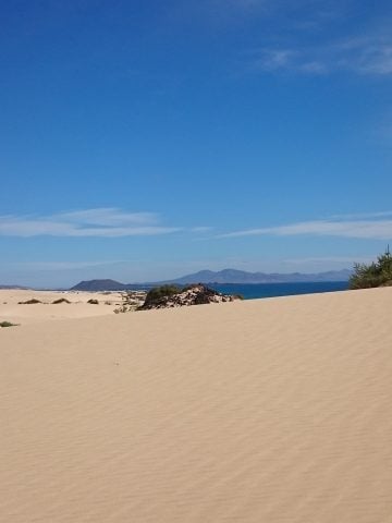 10 Common Mistakes to Avoid in the Canary Islands and How to Avoid Them, How To Get From Fuerteventura Airport To Corralejo - All Possible Ways, cheapest way from Fuerteventura airport to Corralejo, Fuerteventura airport to Corralejo, Fuerteventura airport to Corralejo, Fuerteventura Bus Airport, bus from Fuerteventura airport to Corralejo, taxi Fuerteventura airport to Corralejo, Uber Fuerteventura airport to Corralejo, Fuerteventura to Corralejo by bus, Fuerteventura to Corralejo, Fuerteventura to Corralejo