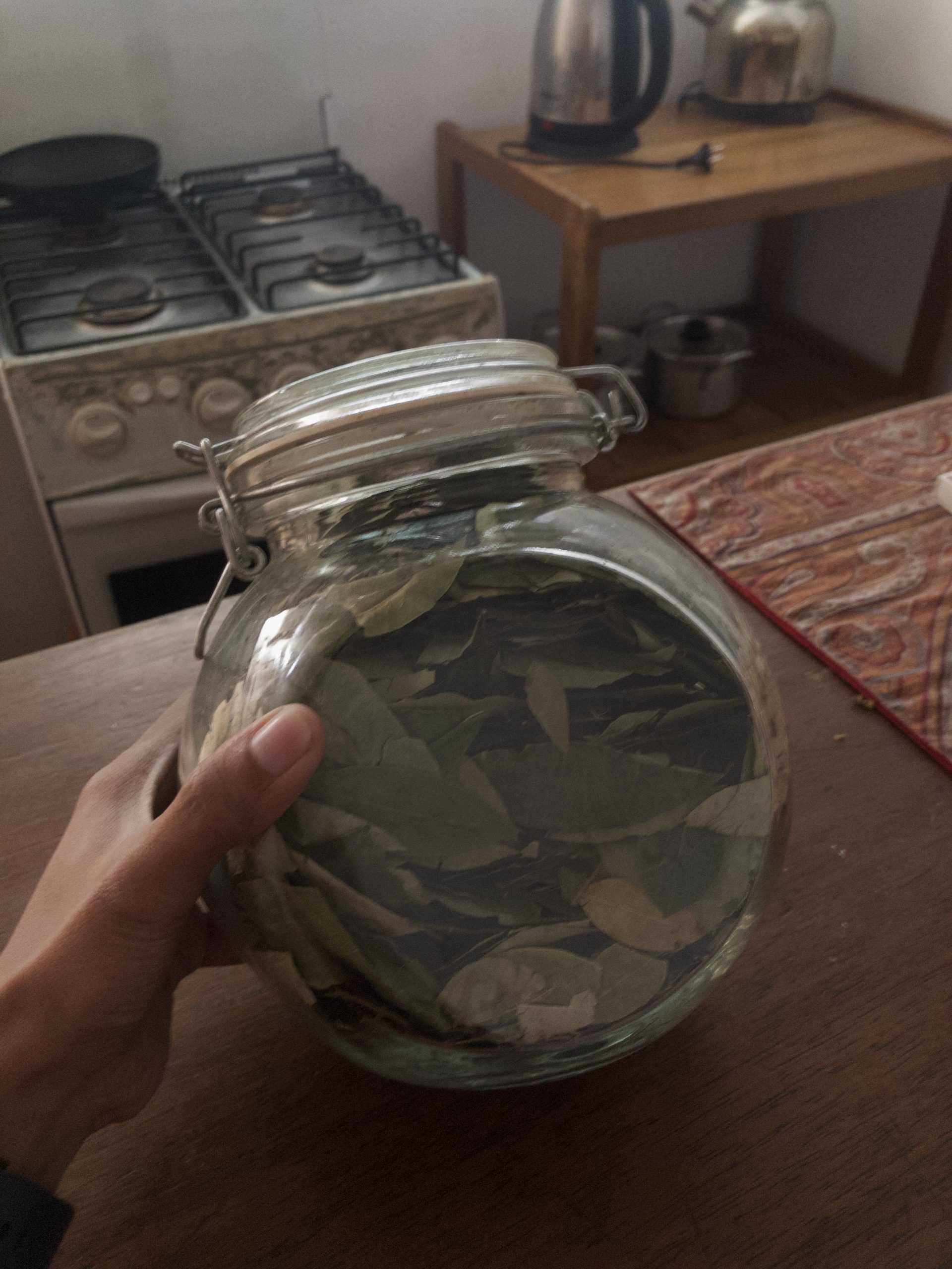 Coca tea, drinks in Peru, Peruvian drinks, non alcoholic drinks in peru, alcoholic drinks in peru, peru drinks, traditional peruvian drinks, exotic drinks in Peru,