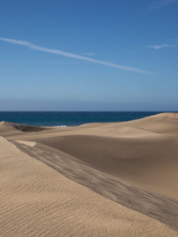 7 Most Popular Nude Beaches in Spain, How To Get From Gran Canaria Airport To Maspalomas - All Possible Ways, cheapest way from Gran Canaria airport to Maspalomas, Gran Canaria airport to Maspalomas, Gran Canaria airport to Maspalomas, Gran Canaria Bus Airport, bus from Gran Canaria airport to Maspalomas, taxi Gran Canaria airport to Maspalomas, Uber Gran Canaria airport to Maspalomas, Gran Canaria airport to Maspalomas by bus, Gran Canaria to Maspalomas, Las Palmas airport to Maspalomas