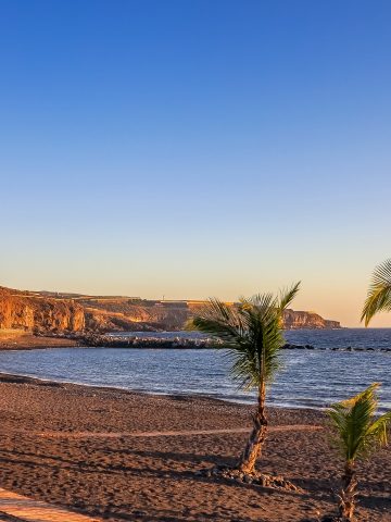 How To Get From Tenerife Airport To Playa de las Americas - All Possible Ways, cheapest way from Tenerife airport to Playa de las Americas, Tenerife airport to Playa de las Americas, Tenerife airport to Playa de las Americas, Tenerife airport to Playa de las Americas, Tenerife Bus Airport, bus from Tenerife airport to Playa de las Americas, taxi Tenerife airport to Playa de las Americas, Uber Tenerife airport to Playa de las Americas, Tenerife airport to Playa de las Americas by bus, Tenerife airport to Playa de las Americas, Tenerife to Playa de las Americas