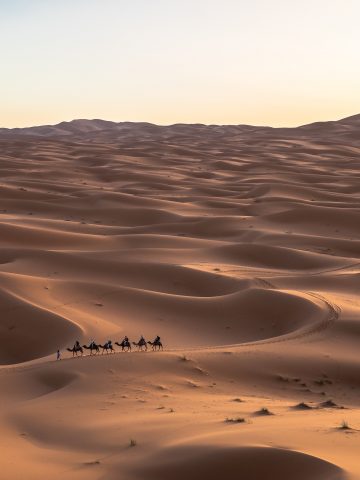 best Saudi Arabia esim, Saudi Arabia esim, Saudi Arabia esim unlimited data, unlimited data esim Saudi Arabia, best esim for Saudi Arabia, Saudi Arabia tourist esim, esim Saudi Arabia, Saudi Arabian esim, Saudi Arabia esim for tourist, Saudi Arabia esim for tourist, Saudi Arabia prepaid esim, Prepaid eSim in Saudi Arabia, cheapest esim in Saudi Arabia, best data plan esim Saudi Arabia, Airalo Saudi Arabia Esim, Holafly Saudi Arabia eSim, Nomad eSim Saudi Arabia, MTX Connect eSim Saudi Arabia, data eSim in Saudi Arabia, Airalo Saudi Arabia esim discount code, Holafly Saudi Arabia discount code, Nomad Saudi Arabia esim discount code, O2 Saudi Arabia esim, Orange eSim Saudi Arabia