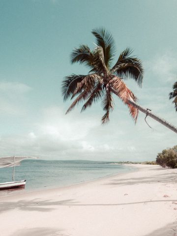 best Mozambique esim, Mozambique esim, Mozambique esim unlimited data, unlimited data esim Mozambique, best esim for Mozambique, Mozambique tourist esim, esim Mozambique, Mozambique esim, Mozambique esim for tourist, Mozambique esim for tourist, Mozambique prepaid esim, Prepaid eSim in Mozambique, cheapest esim in Mozambique, best data plan esim Mozambique, Airalo Mozambique Esim, Holafly Mozambique eSim, Nomad eSim Mozambique, MTX Connect eSim Mozambique, data eSim in Mozambique, Airalo Mozambique esim discount code, Holafly Mozambique discount code, Nomad Mozambique esim discount code