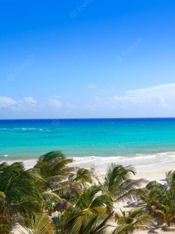 How To Get From Playa del Carmen To Mahahual - All Possible Ways, cheapest way from Playa del Carmen to Mahahual, Playa del Carmen to Mahahual, ado bus from Playa del Carmen to Mahahual, shared van from Playa del Carmen to Mahahual, Colectivo from Playa del Carmen to Mahahual, Uber from Playa del Carmen to Mahahual, taxi from Playa del Carmen to Mahahual, How To Get From Tulum to Mahahual - All Possible Ways, cheapest way from Tulum to Mahahual, Tulum to Mahahual, ado bus Tulum to Mahahual, shared van Tulum to Mahahual, Colectivo Tulum to Mahahual, Uber from Tulum to Mahahual, taxi from Tulum to Mahahual