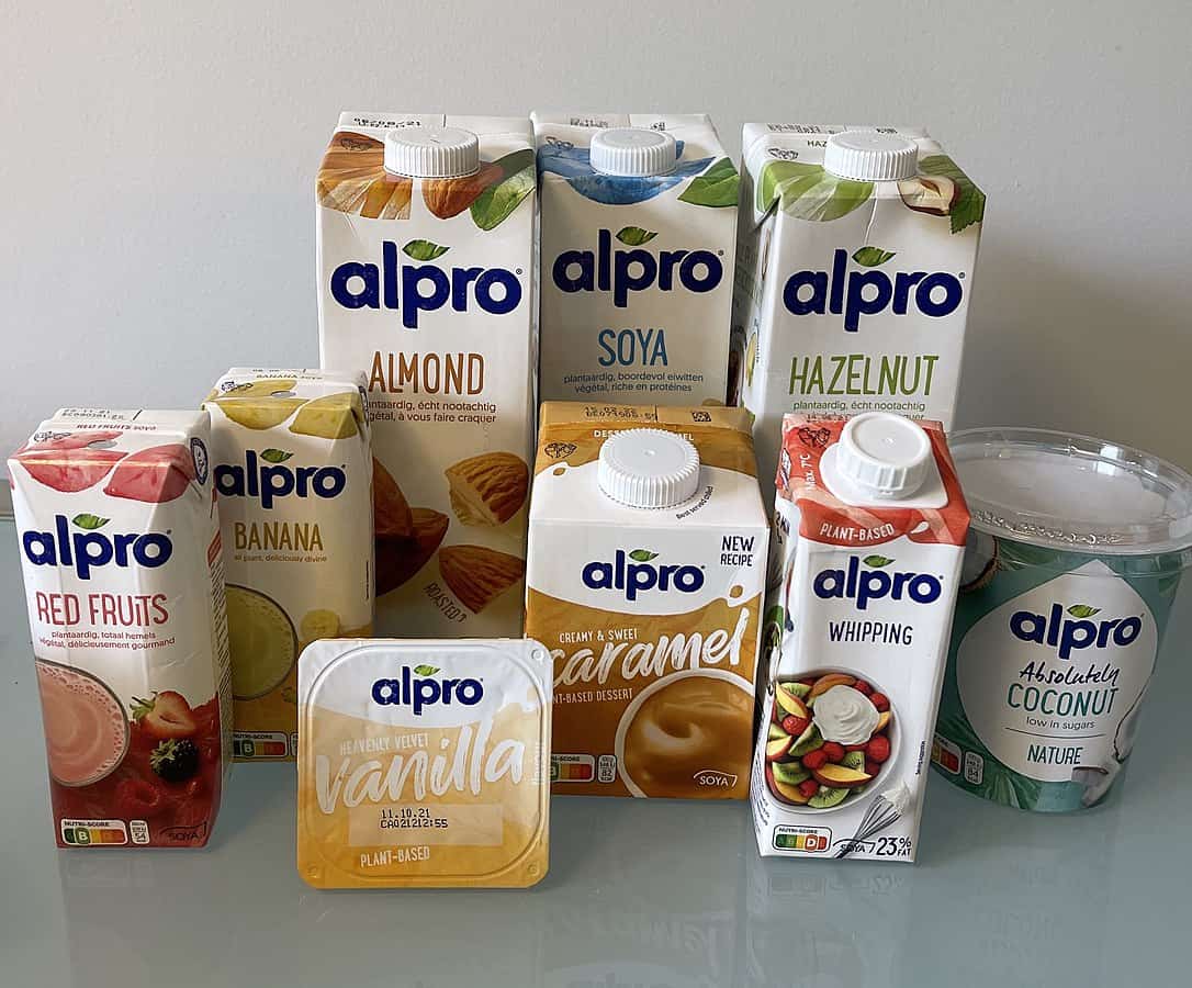 vegetarian food in Spain, vegan food in Spain, Spainish vegetarian dishes, vegan in Spain, vegetarian in Spain, plant based food in Spain