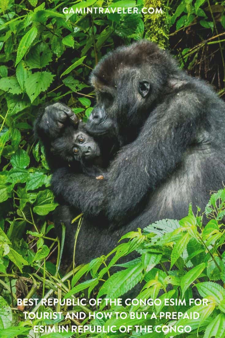 best Republic of the Congo eSim, Republic of the Congo esim, Republic of the Congo esim unlimited data, unlimited data esim Republic of the Congo, best esim for Republic of the Congo, Republic of the Congo tourist esim, esim Republic of the Congo, Republic of the Congo esim, Republic of the Congo esim for tourist, Republic of the Congo esim for tourists, Republic of the Congo prepaid esim, Prepaid eSim in Republic of the Congo, cheapest esim in Republic of the Congo, best data plan esim Republic of the Congo, Airalo Republic of the Congo Esim, Holafly Republic of the Congo eSim, Nomad eSim Republic of the Congo, MTX eSim Republic of the Congo, data eSim in Republic of the Congo, Airalo Republic of the Congo esim discount code, Holafly Republic of the Congo discount code, Nomad Republic of the Congo esim discount code, Ubigi Republic of the Congo esim discount code