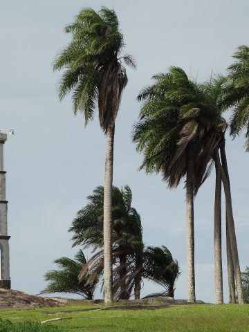 best French Guiana eSim, French Guiana esim, French Guiana esim unlimited data, unlimited data esim French Guiana, best esim for French Guiana, French Guiana tourist esim, esim French Guiana, French Guiana esim, French Guiana esim for tourist, French Guiana esim for tourists, French Guiana prepaid esim, Prepaid eSim in French Guiana, cheapest esim in French Guiana, best data plan esim French Guiana, Airalo French Guiana Esim, Holafly French Guiana eSim, Nomad eSim French Guiana, MTX eSim French Guiana, data eSim in French Guiana, Airalo French Guiana esim discount code, Holafly French Guiana discount code, Nomad French Guiana esim discount code, Ubigi French Guiana esim discount code, GigSky French Guiana eSim,