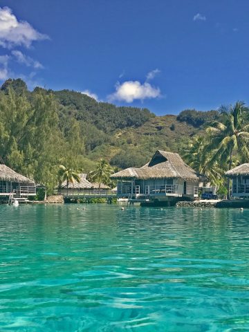 best French Polynesia esim, French Polynesia esim, French Polynesia esim unlimited data, unlimited data esim French Polynesia, best esim for French Polynesia, French Polynesia tourist esim, esim French Polynesia, French Polynesia esim, French Polynesia esim for tourist, French Polynesia esim for tourist, French Polynesia prepaid esim, Prepaid eSim in French Polynesia, cheapest esim in French Polynesia, best data plan esim French Polynesia, Airalo French Polynesia Esim, Holafly French Polynesia eSim, Nomad eSim French Polynesia, MTX eSim French Polynesia, data eSim in French Polynesia, Airalo French Polynesia esim discount code, Holafly French Polynesia discount code, Nomad French Polynesia esim discount code, Ubigi French Polynesia esim discount code