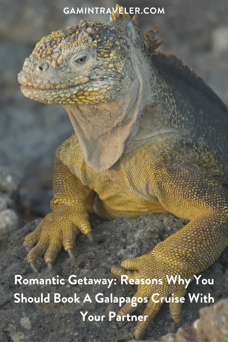 Romantic Getaway: Reasons Why You Should Book A Galapagos Cruise With Your Partner 