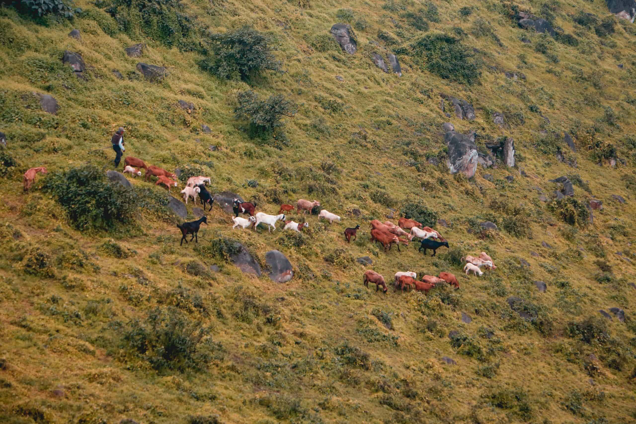 4 Best Family Travel Destinations In Peru 3 Best Family Travel Destinations In Peru