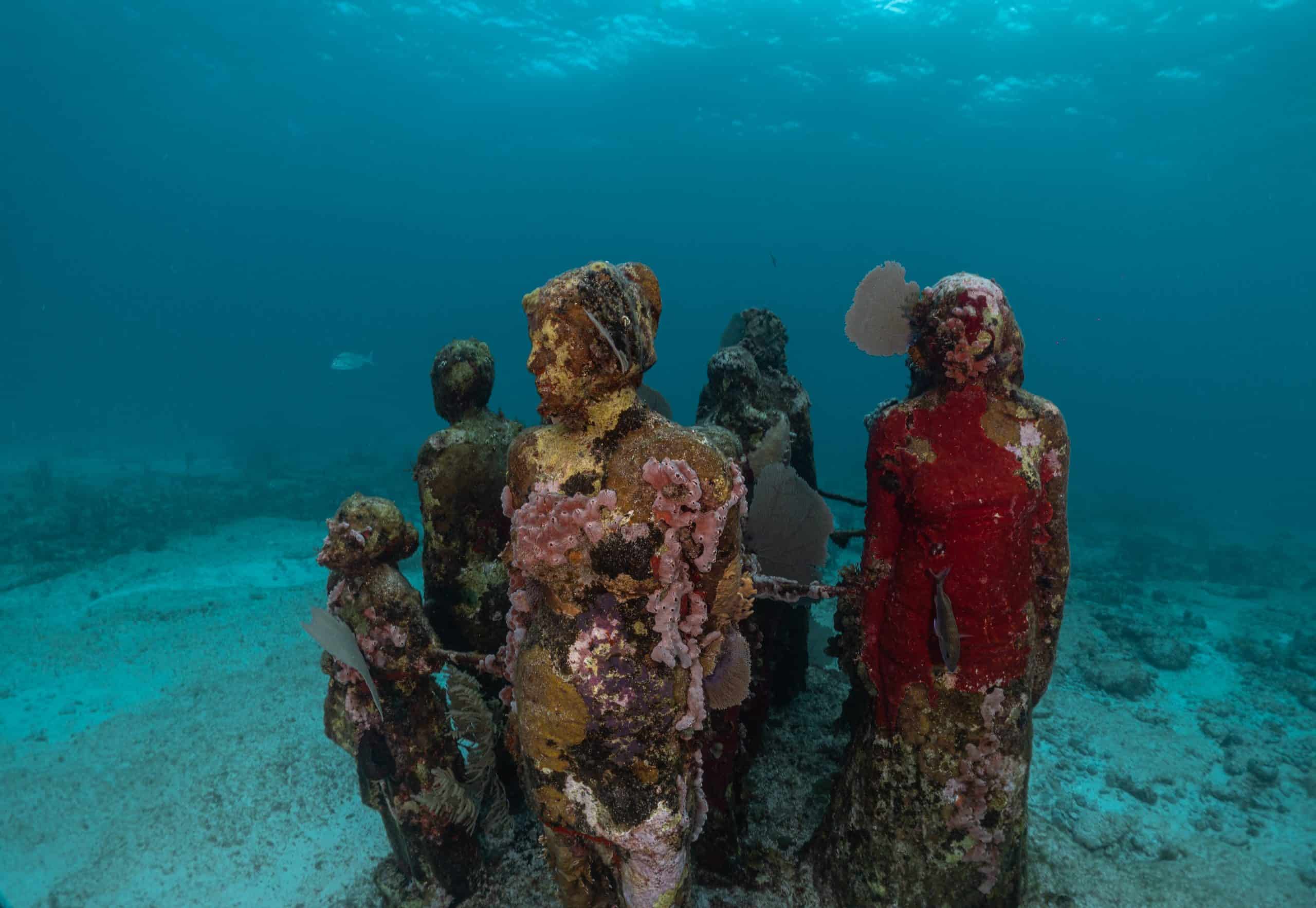 Holbox vs Cozumel - Which Island Should You Visit