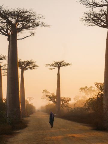 best Madagascar eSim, Madagascar esim, Madagascar esim unlimited data, unlimited data esim Madagascar, best esim for Madagascar, Madagascar tourist esim, esim Madagascar, Madagascar esim, Madagascar esim for tourist, Madagascar esim for tourists, Madagascar prepaid esim, Prepaid eSim in Madagascar, cheapest esim in Madagascar, best data plan esim Madagascar, Airalo Madagascar Esim, Holafly Madagascar eSim, Nomad eSim Madagascar, MTX eSim Madagascar, data eSim in Madagascar, Airalo Madagascar esim discount code, Holafly Madagascar discount code, Nomad Madagascar esim discount code, Ubigi Madagascar esim discount code