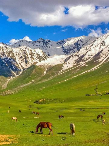 best Pakistan eSim, Pakistan esim, Pakistan esim unlimited data, unlimited data esim Pakistan, best esim for Pakistan, Pakistan tourist esim, esim Pakistan, Pakistani esim, Pakistan esim for tourist, Pakistan esim for tourists, Pakistan prepaid esim, Prepaid eSim in Pakistan, cheapest esim in Pakistan, best data plan esim Pakistan, Airalo Pakistan Esim, Holafly Pakistan eSim, Nomad eSim Pakistan, MTX eSim Pakistan, data eSim in Pakistan, Airalo Pakistan esim discount code, Holafly Pakistan discount code, Nomad Pakistan esim discount code, Ubigi Pakistan esim discount code