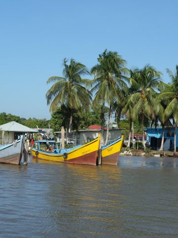 best Suriname eSim, Suriname esim, Suriname esim unlimited data, unlimited data esim Suriname, best esim for Suriname, Suriname tourist esim, esim Suriname, Suriname esim, Suriname esim for tourist, Suriname esim for tourists, Suriname prepaid esim, Prepaid eSim in Suriname, cheapest esim in Suriname, best data plan esim Suriname, Airalo Suriname Esim, Holafly Suriname eSim, Nomad eSim Suriname, MTX eSim Suriname, data eSim in Suriname, Airalo Suriname esim discount code, Holafly Suriname discount code, Nomad Suriname esim discount code, Ubigi Suriname esim discount code, GigSky Suriname eSim