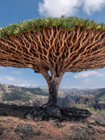 10 Worst Countries to Visit in the World, 12 Worst Countries for Safety: Travel Destinations You Should Think Twice About, 15 Worst Destinations For Flashpackers In The World, 10 Worst Countries to Visit in the World, best Yemen esim, Yemen esim unlimited data, unlimited data esim Yemen, best esim for Yemen, Yemen tourist esim, esim Yemen, Yemeni esim, Yemen esim for tourist, Yemen esim for tourists, Yemen prepaid esim, Prepaid eSim in Yemen, cheapest esim in Yemen, best data plan esim Yemen, Airalo Yemen Esim, Holafly Yemen eSim, GigSky Yemen eSim