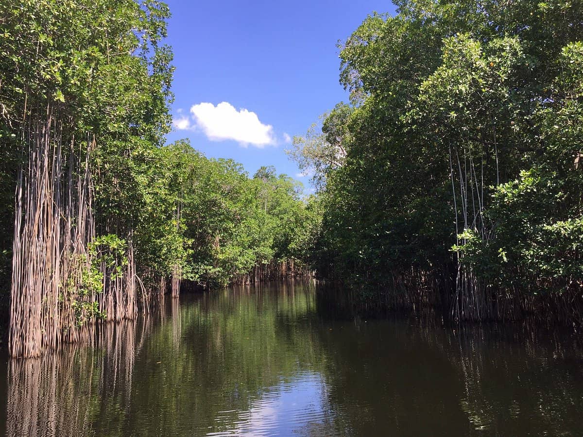 Black River Safari - Negril vs Montego Bay 