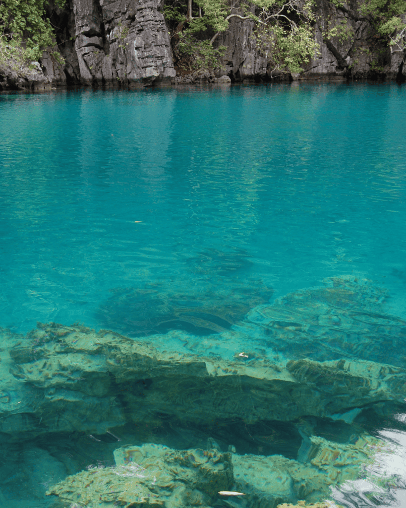 Comparison El Nido vs Coron - Which is the Better? 13 Barracuda Lake Diving Underwater Tours Coron Philippines Gamintraveler 3