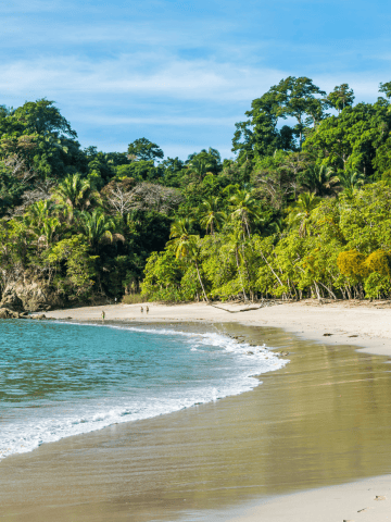 How To Get From Sierpe to Manuel Antonio Best Way – All Possible Ways, Sierpe to Manuel Antonio, Sierpe to Manuel Antonio transfer, cheapest way from Sierpe to Manuel Antonio, bus from Sierpe to Manuel Antonio, from Sierpe to Manuel Antonio by bus, best way from Sierpe to Manuel Antonio, taxi from Sierpe to Manuel Antonio, private transfer from Sierpe to Manuel Antonio, Shared Van from Sierpe to Manuel Antonio, rent a car in Sierpe, uber from Sierpe to Manuel Antonio , How To Get From Uvita to Manuel Antonio Best Way – All Possible Ways, Uvita to Manuel Antonio, Uvita to Manuel Antonio transfer, cheapest way from Uvita to Manuel Antonio, bus from Uvita to Manuel Antonio, from Uvita to Manuel Antonio by bus, taxi from Uvita to Manuel Antonio, private transfer from Uvita to Manuel Antonio, Shared Van from Uvita to Manuel Antonio, rent a car in Uvita, uber from Uvita to Manuel Antonio, Manuel Antonio Beach in Costa Rica - Costa Rica vs Bahamas