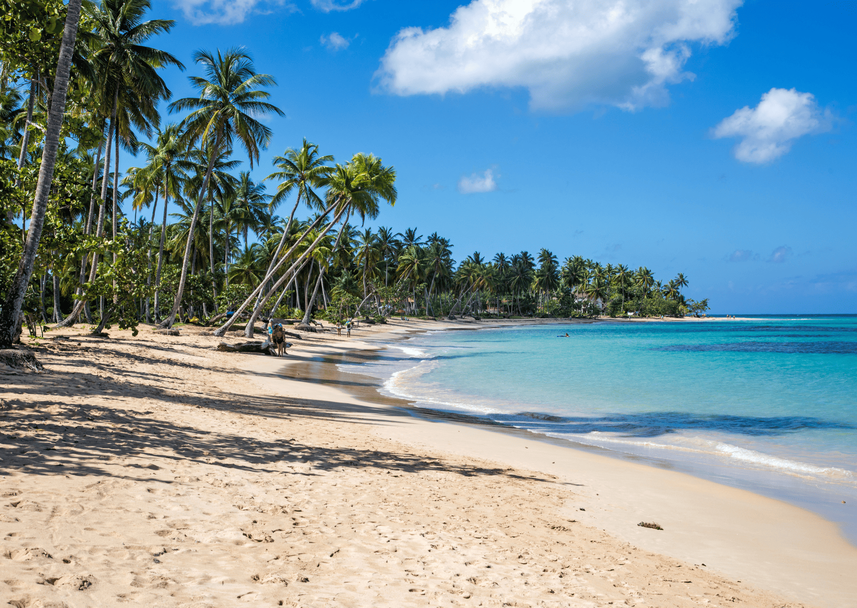 Samana Bacardi Dominican Republic - Dominican Republic vs Jamaica