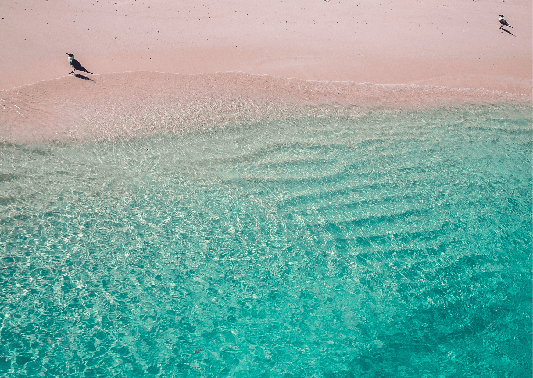 St Lucia vs Bahamas - Which is the Better Caribbean Vacation?