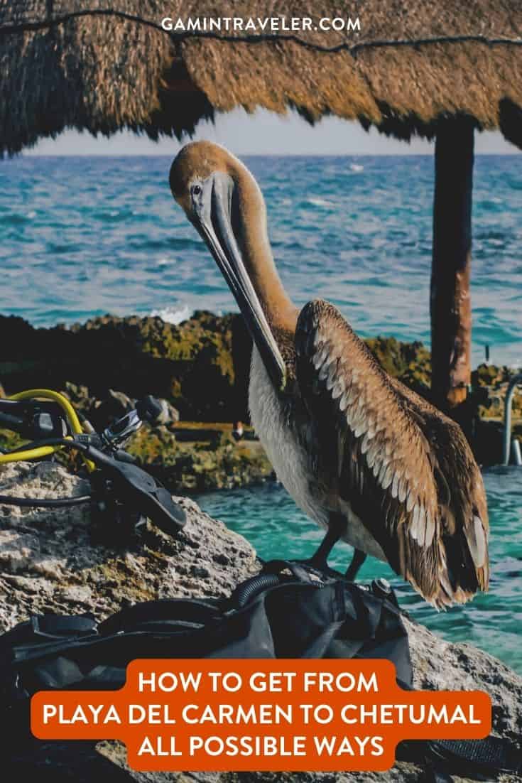 How To Get From Playa del Carmen To Chetumal Best Way 1 How To Get From Playa del Carmen To Chetumal By Bus - All Possible Ways, cheapest way from Playa del Carmen to Chetumal, Playa del Carmen To Chetumal, ado bus from Playa del Carmen To Chetumal, AU Autobuses unidos bus from Playa del Carmen To Chetumal, Mayab bus from Playa del Carmen to Chetumal, shared van from Playa del Carmen To Chetumal, Colectivo from Playa del Carmen To Chetumal, Uber from Playa del Carmen To Chetumal, taxi from Playa del Carmen To Chetumal