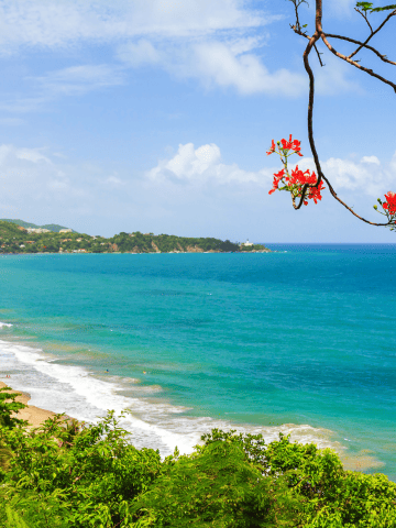 4 Day Itinerary Puerto Rico - Best Things To Do with Off the Beaten Path in Puerto Rico