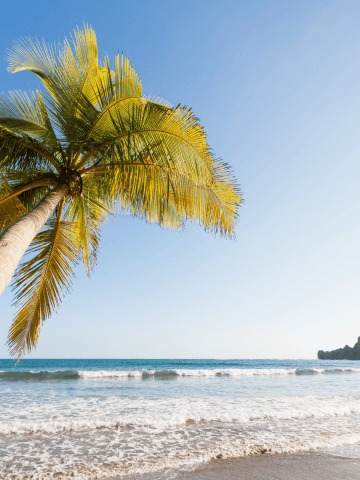 Tamarindo Costa Rica - Tamarindo vs Santa Teresa, Santa Teresa vs Tamarindo