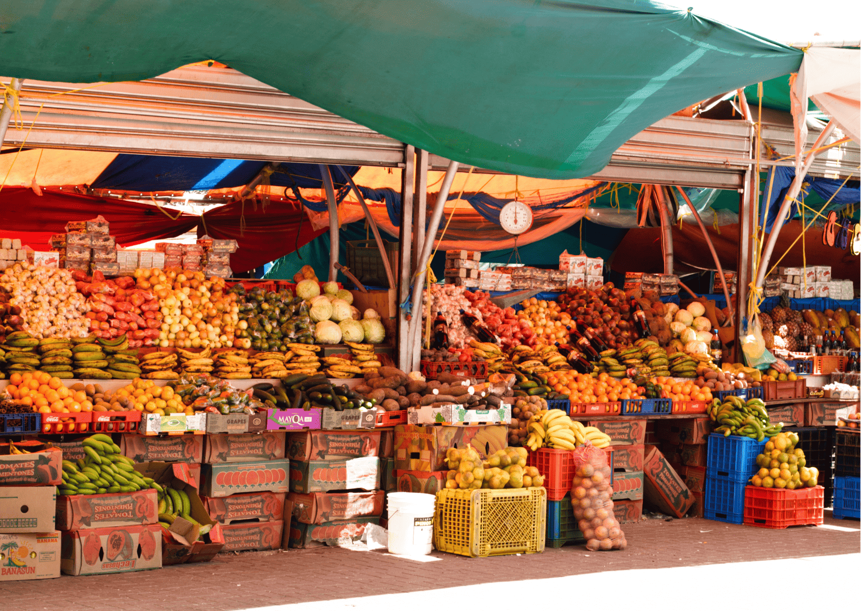 Willemstad, Curaçao, Best 7-Day Curacao Itinerary (Updated 2023): How Many Days in Curacao