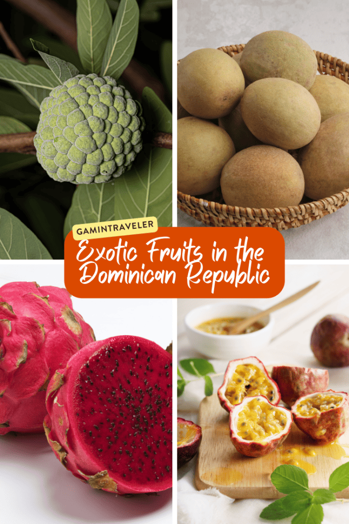Exotic Fruits in the Dominican Republic 2