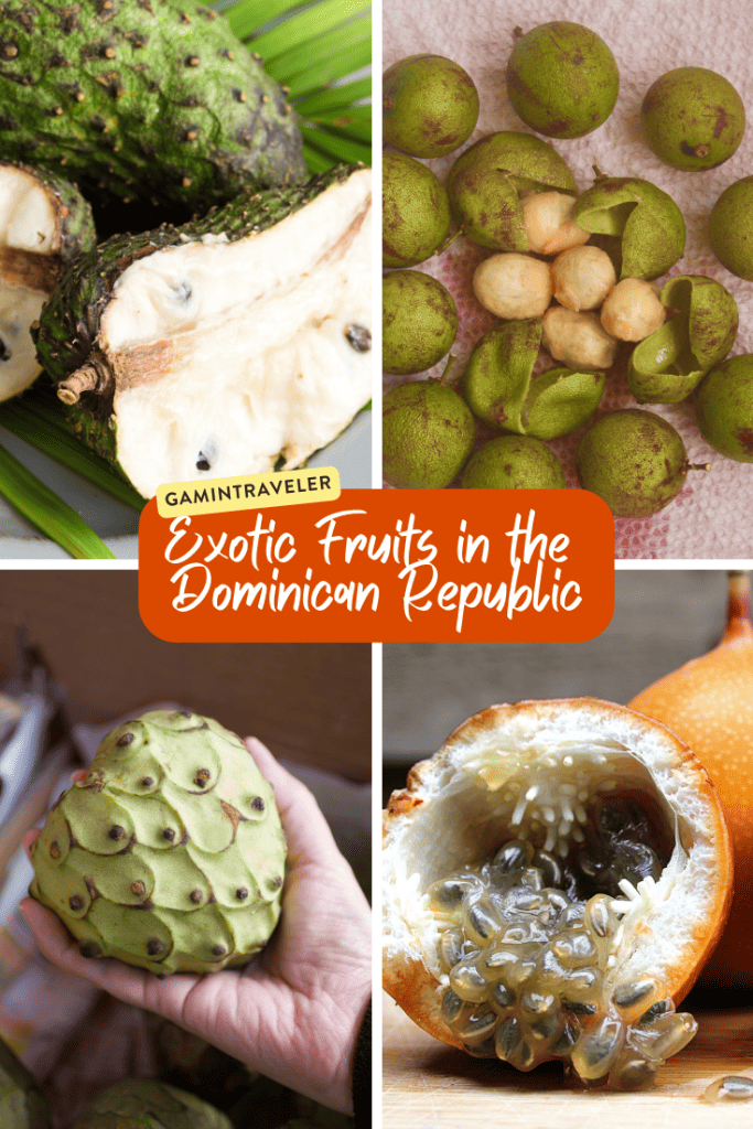 Exotic Fruits in the Dominican Republic