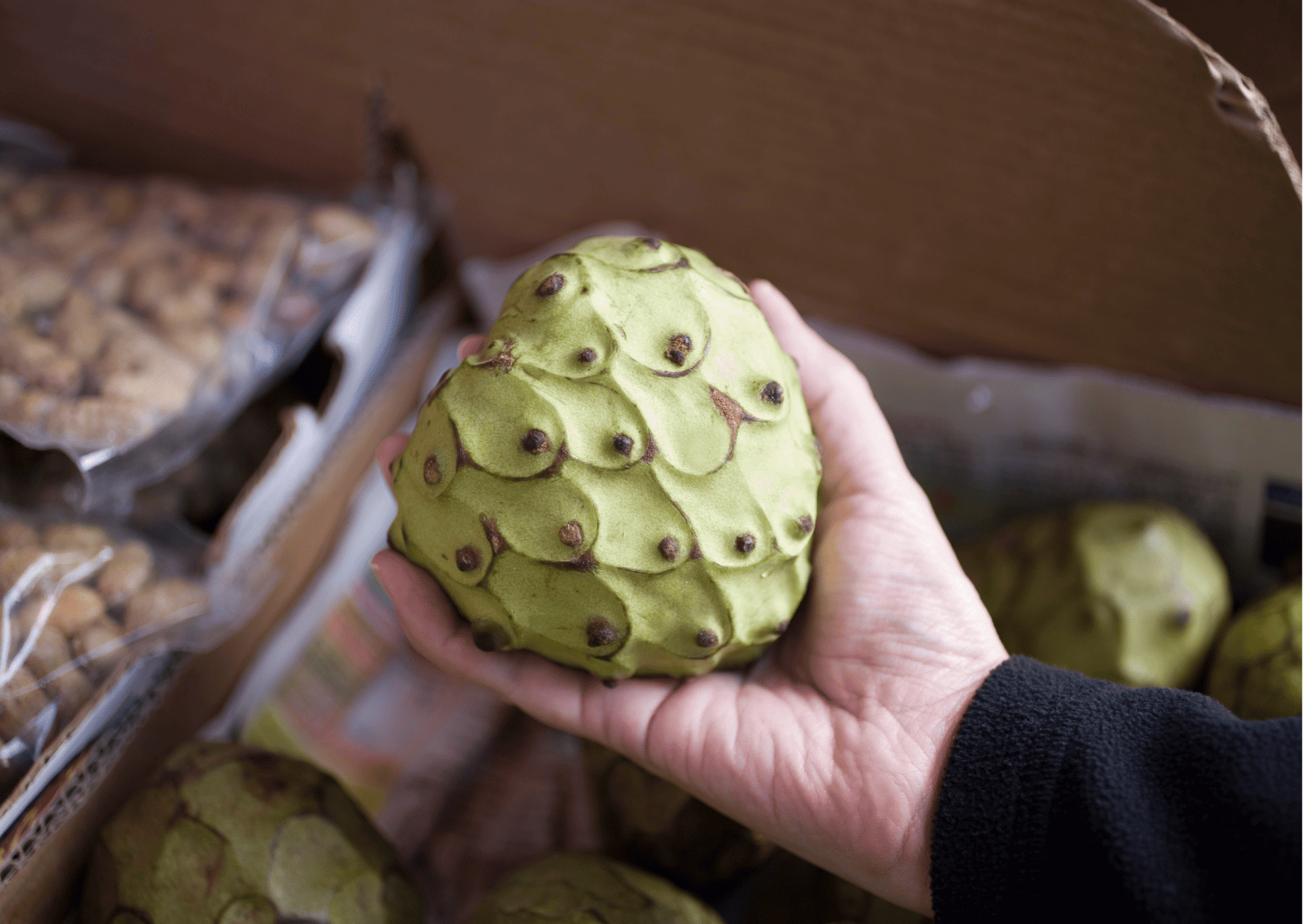 Fruits in Dominican Republic Cherimoya