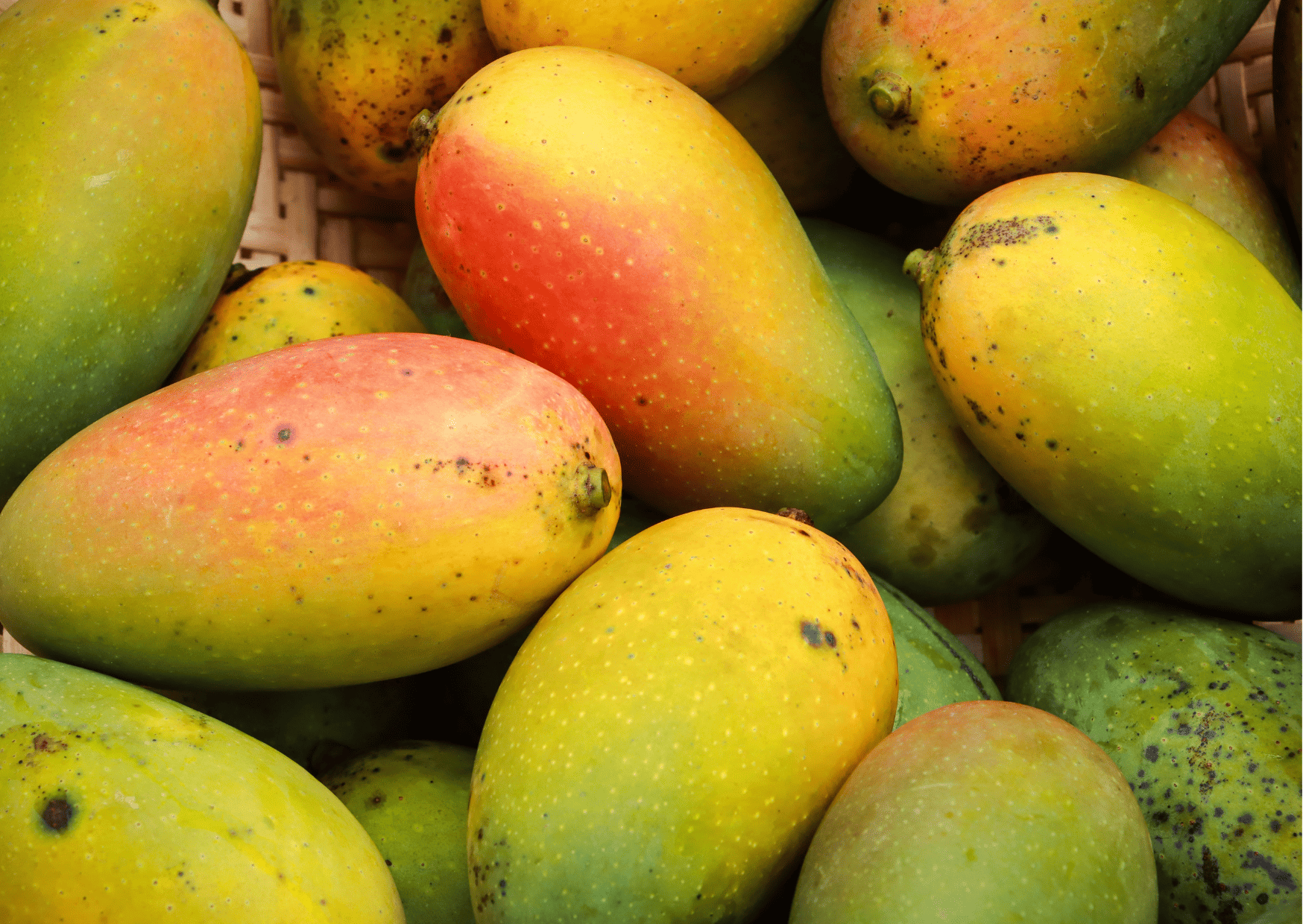 Fruits in Dominican Republic - Traditional and Exotic Fruits in Dominican Republic You Can't Miss