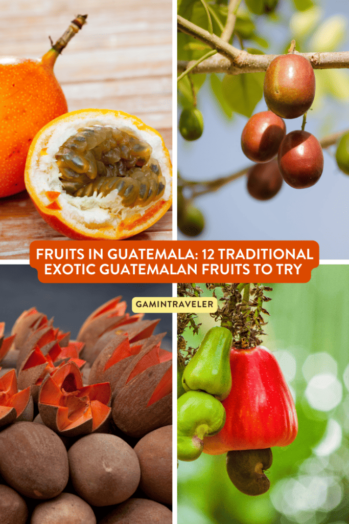 Fruits in Guatemala: 12 Traditional Exotic Guatemalan Fruits to Try