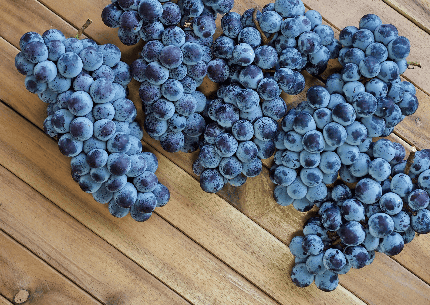 Korean Fruits - A Guide to Seasonal Fruits in Korea, Traditional and Imported Fruits 10 Korean Grapes - Korean Fruits - A Guide to Seasonal Fruits in Korea, Traditional Korean Fruits and Imported Fruits