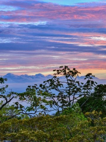 How To Get From Nosara To Monteverde – All Possible Ways, Nosara to Monteverde, cheapest way from Nosara to Monteverde, best way from Nosara to Monteverde, Nosara to Monteverde by bus, bus from Nosara to Monteverde, taxi from Nosara to Monteverde, Uber from Nosara to Monteverde, private transfer from Nosara to Monteverde, Shared Van from Nosara to Monteverde, rent a car at Nosara, Nosara to Monteverde