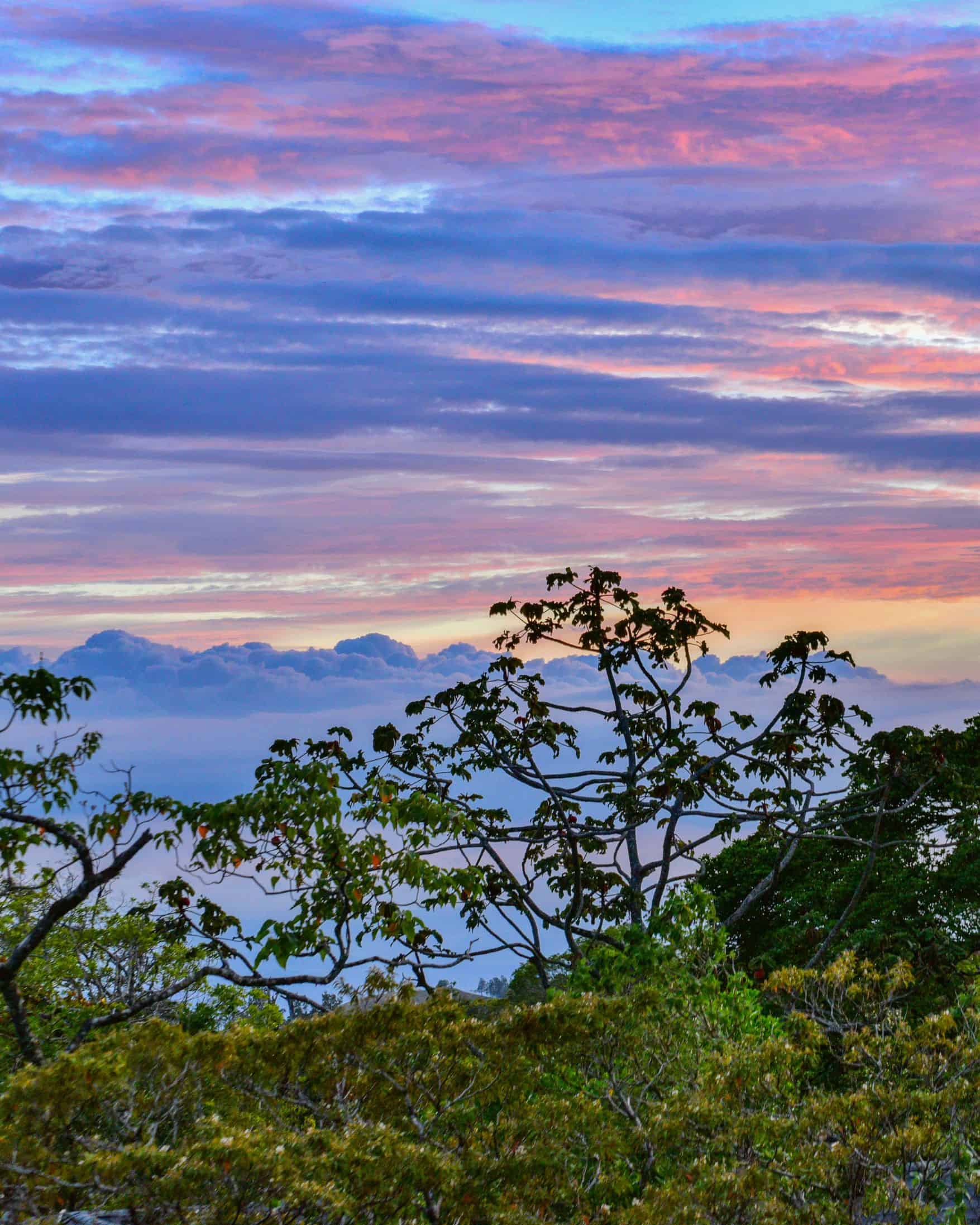 How To Get From Nosara To Monteverde – All Possible Ways, Nosara to Monteverde, cheapest way from Nosara to Monteverde, best way from Nosara to Monteverde, Nosara to Monteverde by bus, bus from Nosara to Monteverde, taxi from Nosara to Monteverde, Uber from Nosara to Monteverde, private transfer from Nosara to Monteverde, Shared Van from Nosara to Monteverde, rent a car at Nosara, Nosara to Monteverde