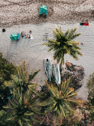 How To Get From Tamarindo to Nosara Best Way – All Possible Ways, Tamarindo to Nosara Beach, Tamarindo to Nosara, Tamarindo to Nosara transfer, cheapest way from Tamarindo to Nosara, bus from Tamarindo to Nosara, from Tamarindo to Nosara by bus, taxi from Tamarindo to Nosara, private transfer from Tamarindo to Nosara, Shared Van from Tamarindo to Nosara, rent a car in Tamarindo, uber from Tamarindo to Nosara