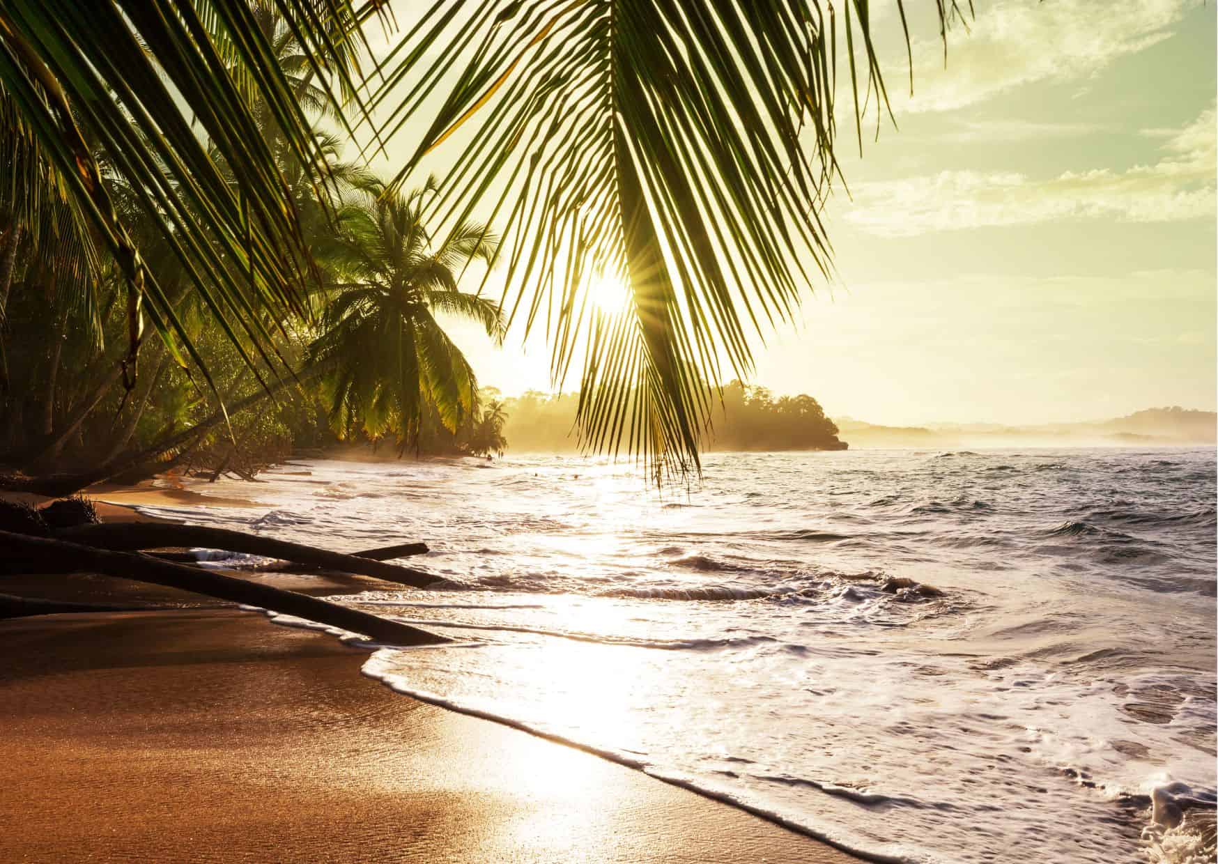 How To Get From Monteverde to Samara Best Way – All Possible Ways, Monteverde to Samara, cheapest way from Monteverde to Samara, best way from Monteverde to Samara, Monteverde to Samara by bus, bus from Monteverde to Samara, taxi from Monteverde to Samara, Uber from Monteverde to Samara, private transfer from Monteverde to Samara, Shared Van from Monteverde to Samara, rent a car at Monteverde