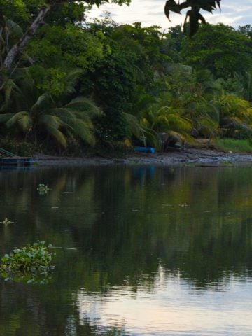 How To Get From San Jose To Sierpe Best Way – All Possible Ways, San Jose to Sierpe, San Jose to Sierpe, cheapest way from San Jose to Sierpe, San Jose to Sierpe by bus, bus from San Jose to Sierpe, taxi from San Jose to Sierpe, UBER from San Jose to Sierpe, private transfer from San Jose to Sierpe, Shared Van San Jose to Sierpe, rent a car in San Jose