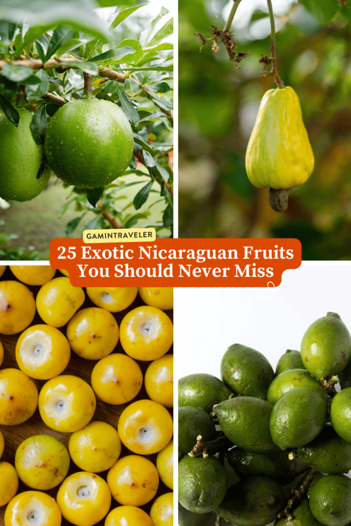 Nicaragua Fruits – 20 Exotic Nicaraguan Fruits and What Fruits in Nicaragua to Never Miss
