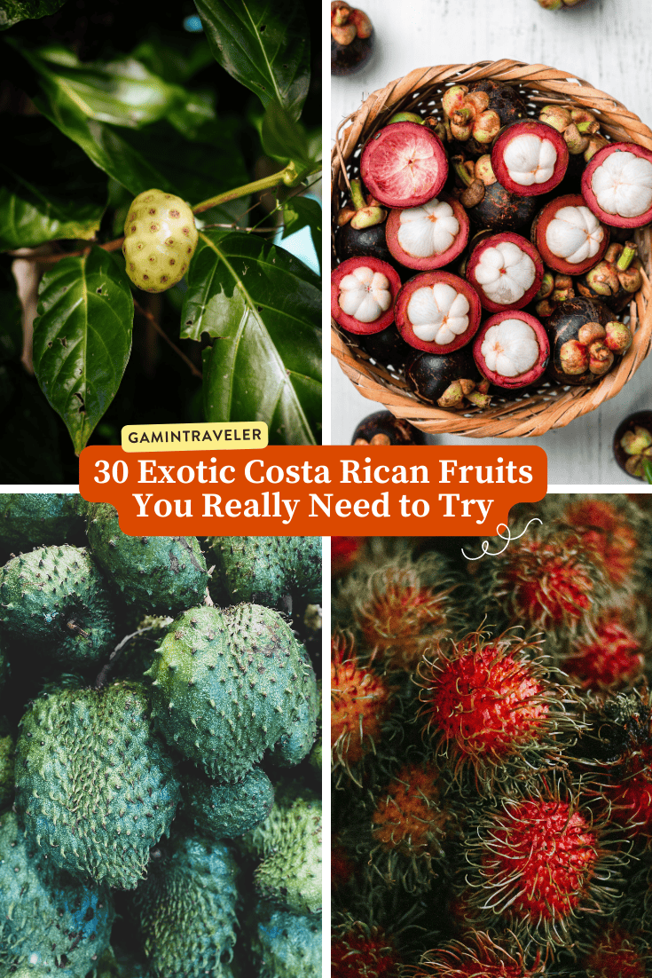 Fruits in Costa Rica - 30 Exotic Costa Rican Fruits You Really Need to Try