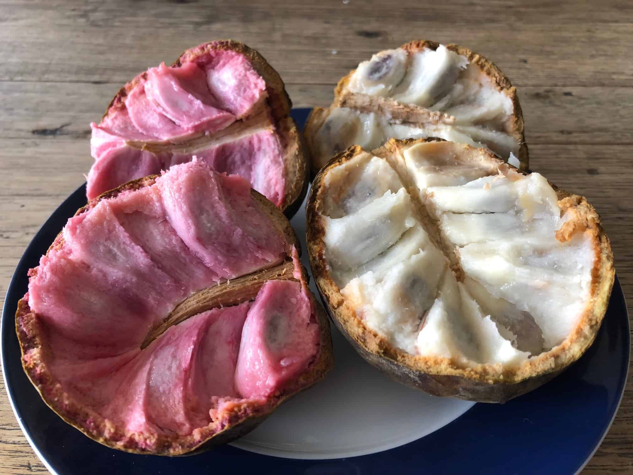 Exotic El Salvador Fruits - 30 Fruits in El Salvador to Try