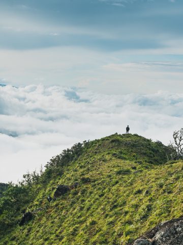 How To Get From Playa Venao to Boquete Best Way – All Possible Ways, Playa Venao to Boquete, cheapest way from Playa Venao to Boquete, best way from Playa Venao to Boquete, Playa Venao to Boquete by bus, bus from Playa Venao to Boquete, taxi from Playa Venao to Boquete, Uber from Playa Venao to Boquete, private transfer from Playa Venao to Boquete, Shared Van from Playa Venao to Boquete, rent a car at Playa Venao, MyPinkbus from Playa Venao to Boquete, public buses from Playa Venao to Boquete