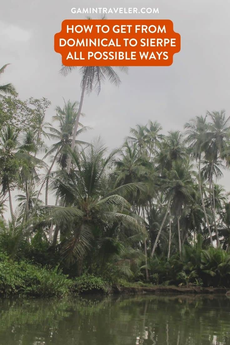 How To Get From Dominical to Sierpe Best Way – All Possible Ways, Dominical to Sierpe, Dominical to Sierpe transfer, cheapest way from Dominical to Sierpe, bus from Dominical to Sierpe, from Dominical to Sierpe by bus, best way from Dominical to Sierpe, taxi from Dominical to Sierpe, private transfer from Dominical to Sierpe, Shared Van from Dominical to Sierpe, rent a car in Dominical, uber from Dominical to Sierpe