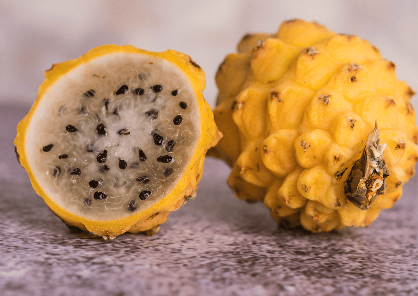 pitaya, Fruits in Panama, Panamanian Fruits, Exotic Fruits in Panama