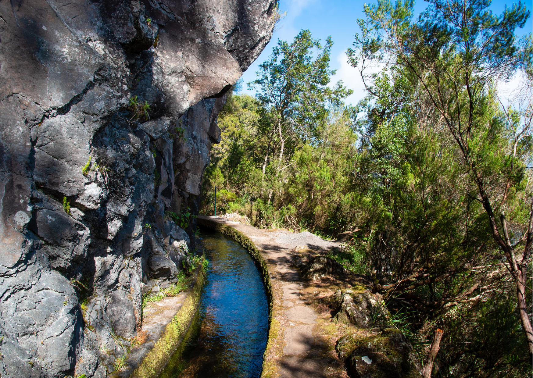 10 Common Mistakes to Avoid in Madeira and How to Avoid Them