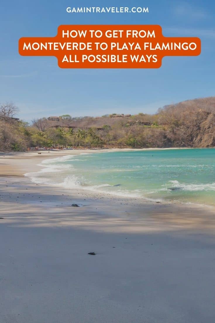 How To Get From Monteverde to Playa Flamingo Best Way – All Possible Ways, Monteverde to Playa Flamingo, Monteverde to Playa Flamingo transfer, cheapest way from Monteverde to Playa Flamingo, bus from Monteverde to Playa Flamingo, from Monteverde to Playa Flamingo by bus, best way from Monteverde to Playa Flamingo, taxi from Monteverde to Playa Flamingo, private transfer from Monteverde to Playa Flamingo, Shared Van from Monteverde to Playa Flamingo, rent a car in Monteverde, uber from Monteverde to Playa Flamingo