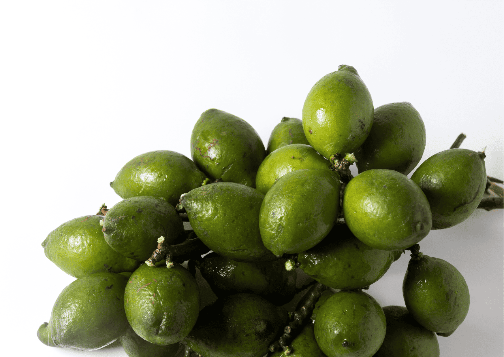 Mamon, Mamoncillo - Nicaragua Fruits – 20 Exotic Nicaraguan Fruits and What Fruits in Nicaragua to Never Miss
