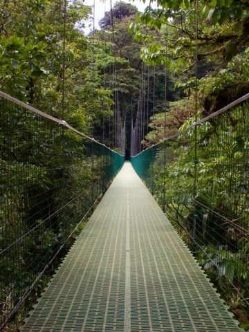 14 Weirdest Places to Visit in Costa Rica, 10 Beautiful Towns in Costa Rica, How To Get From Playa Flamingo to Monteverde Best Way – All Possible Ways, Playa Flamingo to Monteverde, Playa Flamingo to Monteverde transfer, cheapest way from Playa Flamingo to Monteverde, bus from Playa Flamingo to Monteverde, from Playa Flamingo to Monteverde by bus, best way from Playa Flamingo to Monteverde, taxi from Playa Flamingo to Monteverde, private transfer from Playa Flamingo to Monteverde, Shared Van from Playa Flamingo to Monteverde, rent a car in Playa Flamingo, uber from Playa Flamingo to Monteverde