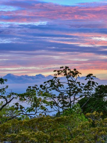 How To Get From Playa Hermosa to Monteverde Best Way – All Possible Ways, Playa Hermosa to Monteverde, Playa Hermosa to Monteverde transfer, cheapest way from Playa Hermosa to Monteverde, bus from Playa Hermosa to Monteverde, from Playa Hermosa to Monteverde by bus, best way from Playa Hermosa to Monteverde, taxi from Playa Hermosa to Monteverde, private transfer from Playa Hermosa to Monteverde, Shared Van from Playa Hermosa to Monteverde, rent a car in Playa Hermosa, uber from Playa Hermosa to Monteverde