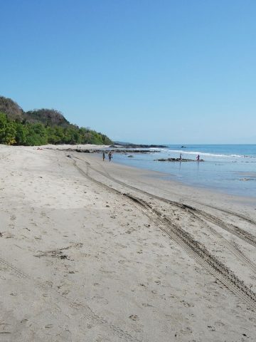 How To Get From Nosara to Montezuma Best Way – All Possible Ways, Nosara to Montezuma, Nosara to Montezuma transfer, cheapest way from Nosara to Montezuma, bus from Nosara to Montezuma, from Nosara to Montezuma by bus, taxi from Nosara to Montezuma, private transfer from Nosara to Montezuma, Shared Van from Nosara to Montezuma, rent a car in Nosara, uber from Nosara to Montezuma